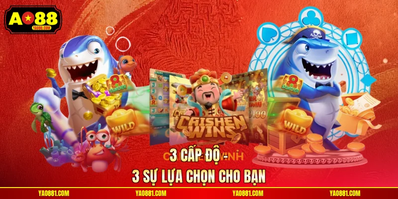 3 cấp độ - 3 sự lựa chọn cho bạn
