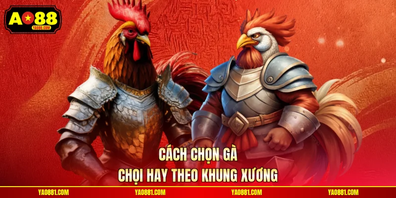 Cách chọn gà chọi hay theo khung xương