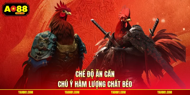 Chế độ ăn cần chú ý hàm lượng chất béo