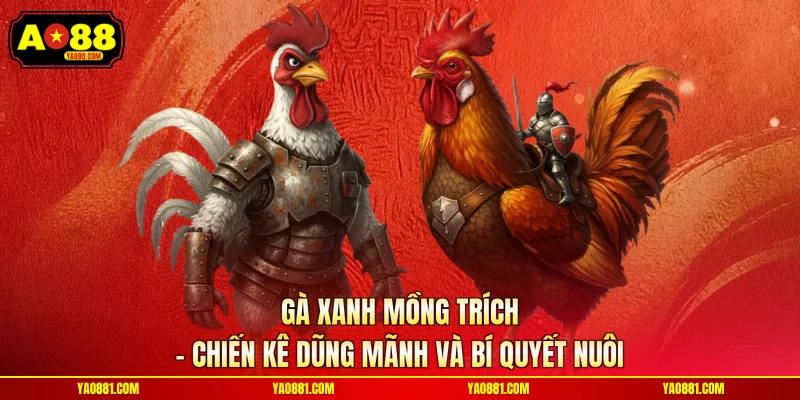 Gà Xanh Mồng Trích – Chiến Kê Dũng Mãnh Và Bí Quyết Nuôi