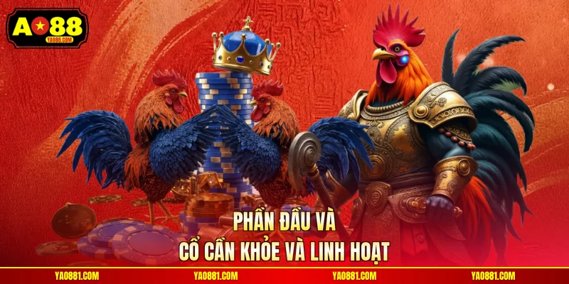 Phần đầu và cổ cần khỏe và linh hoạt