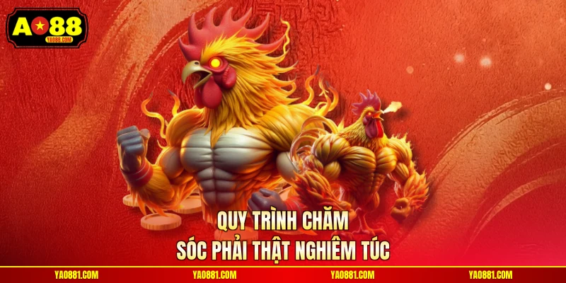 Quy trình chăm sóc phải thật nghiêm túc